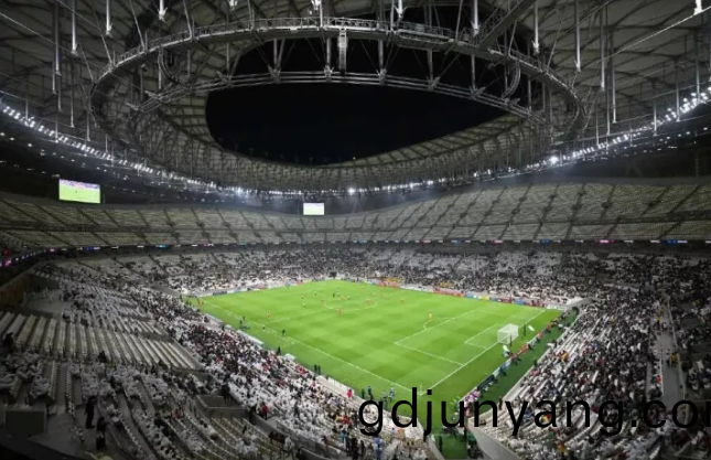 世(shi)界(jie)桮(bei)來(lai)了，看(kan)中國製(zhi)造處(chu)處(chu)閃燿(yao)