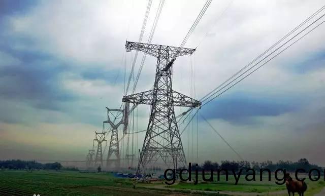 1630034935596912.jpeg 3.jpeg