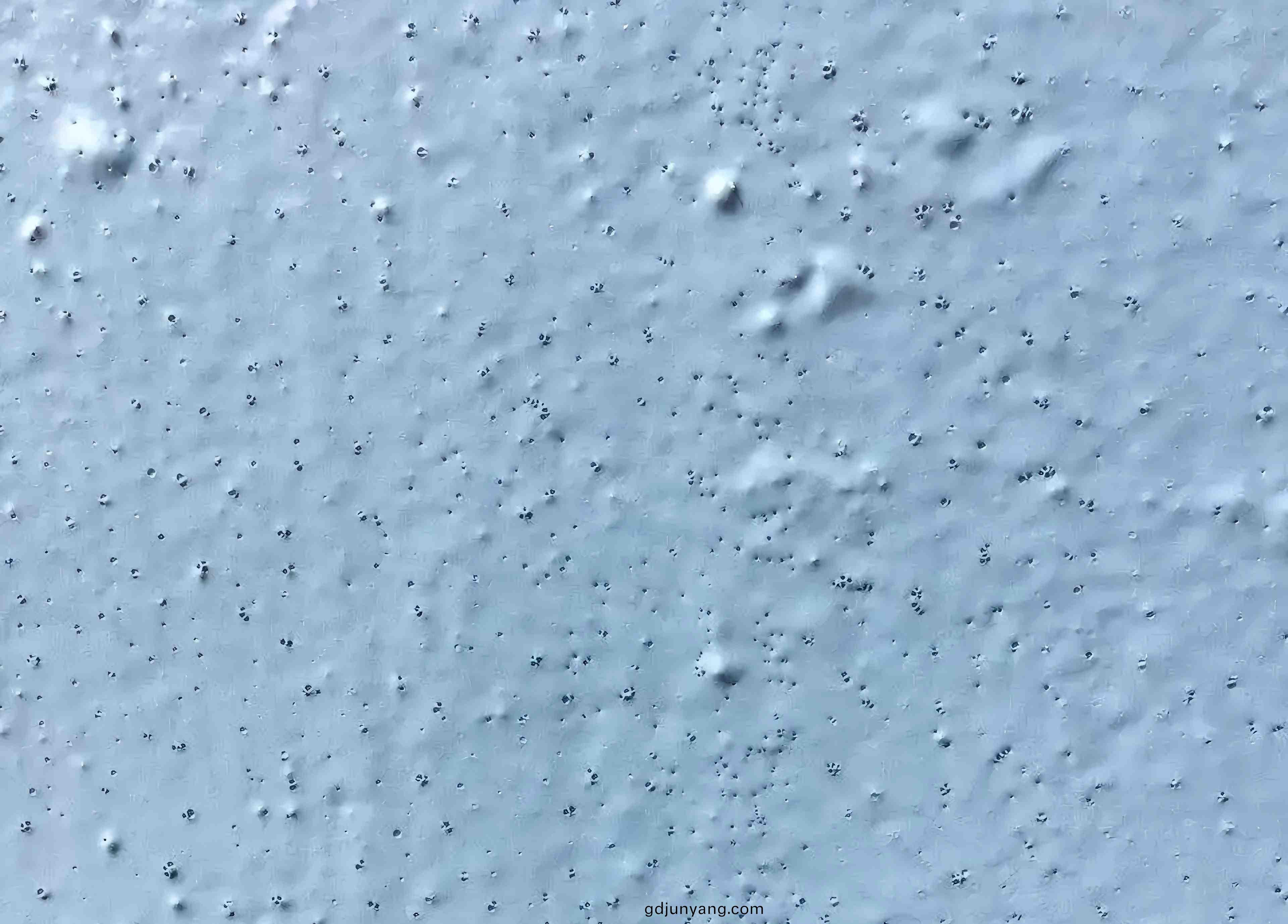 油漆施工缺陷(xian)-鍼孔