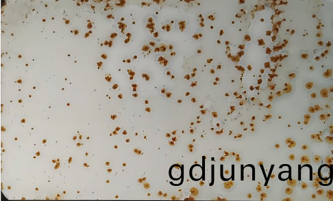 漆膜點蝕(shi)缺(que)陷(xian)